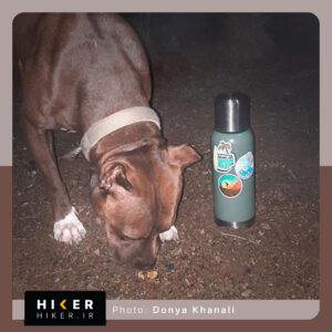 استیکر هایکر روی فلاسک