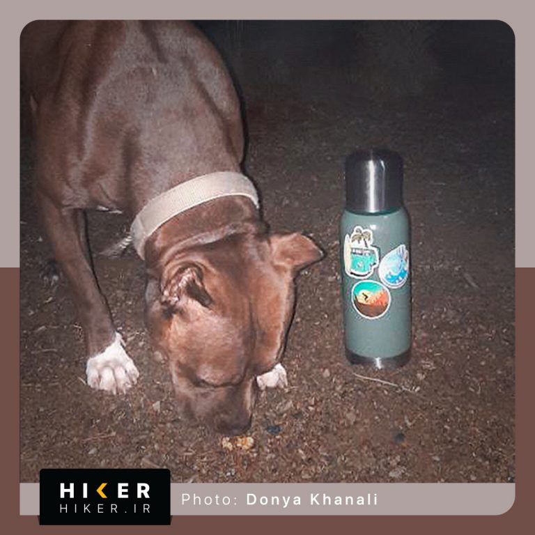 استیکر هایکر روی فلاسک