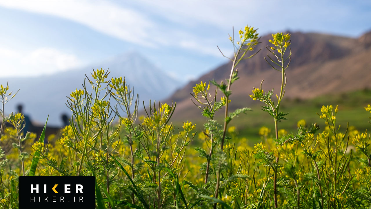 مسیر قله پاشوره و نمای قله دماوند